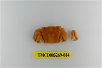 藏品(字纹弓蟹)的圖片